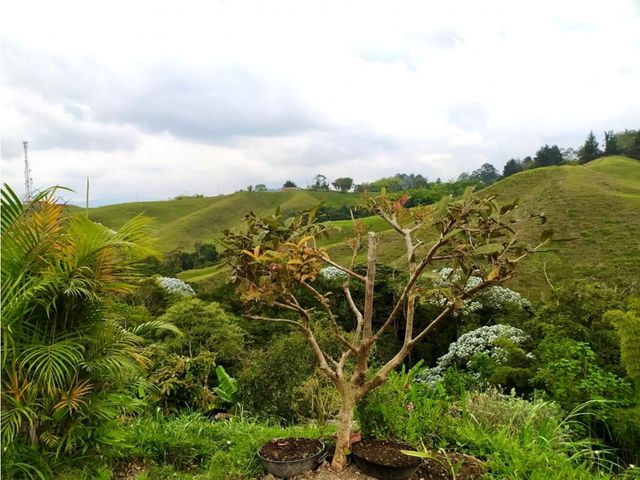 place photo 48