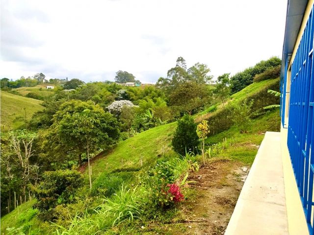 place photo 47
