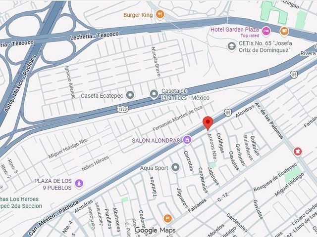 place photo 5