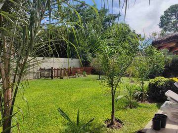 place photo 36