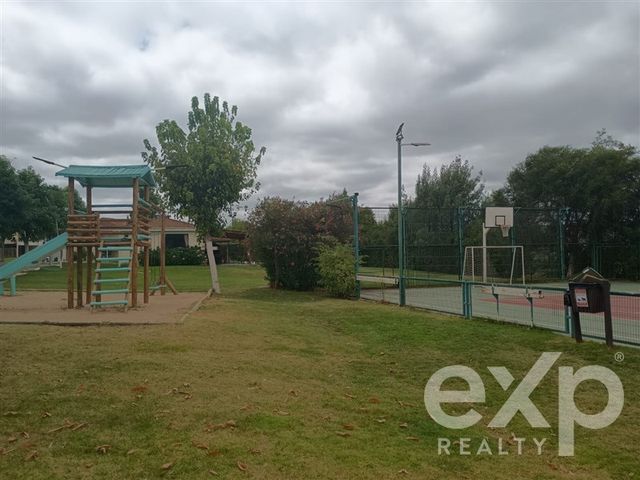 place photo 50