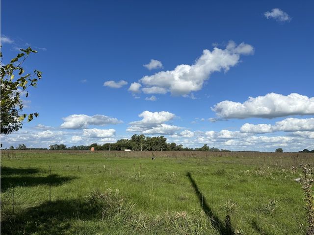 place photo 27