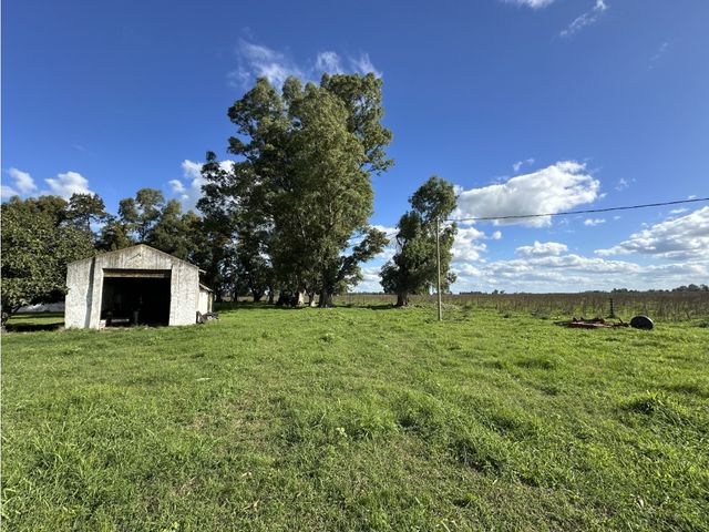 place photo 11