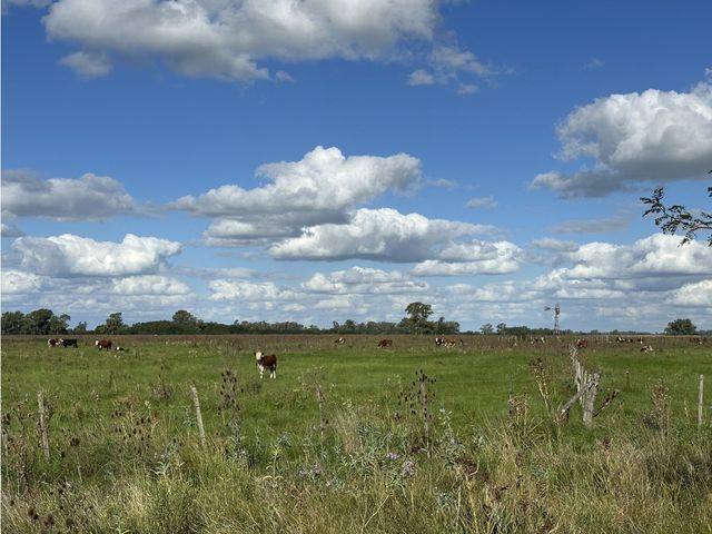 place photo 24