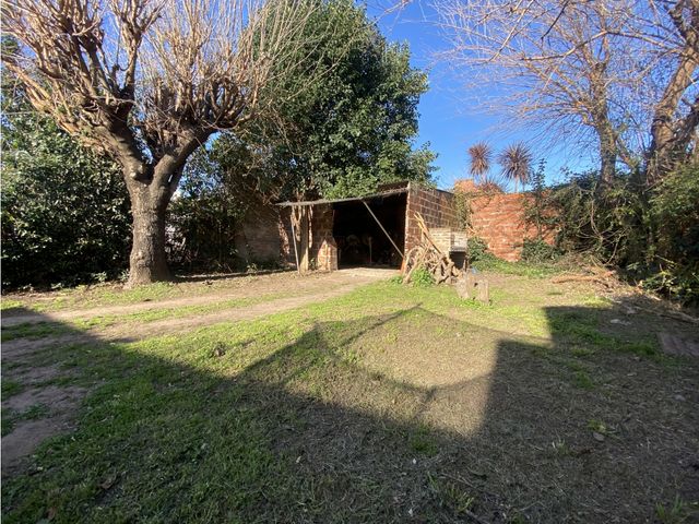 place photo 24