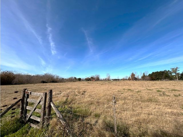 place photo 12