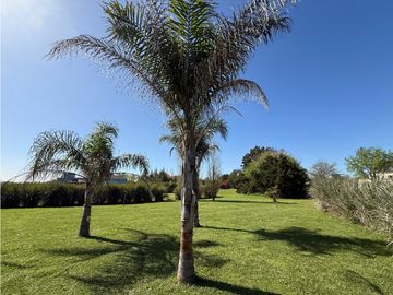 place photo 29