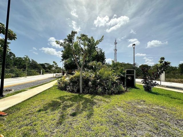 place photo 22