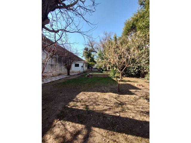 place photo 20