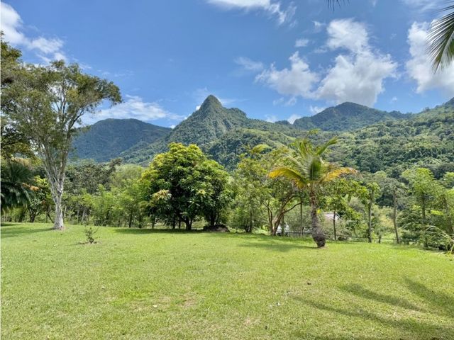 place photo 57