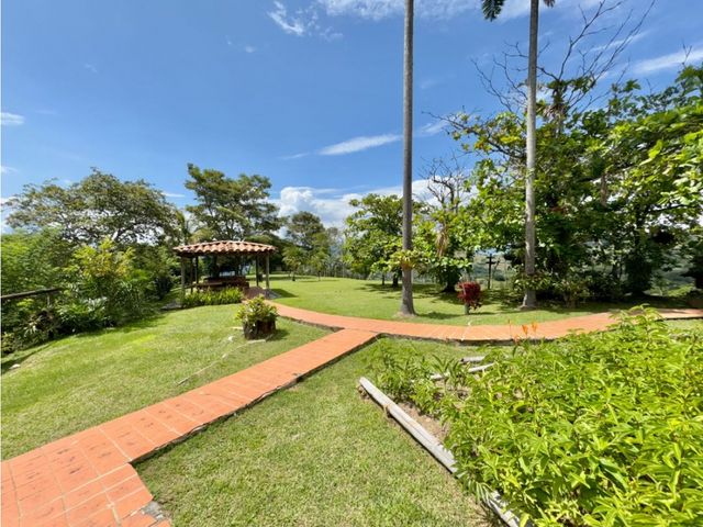 place photo 49