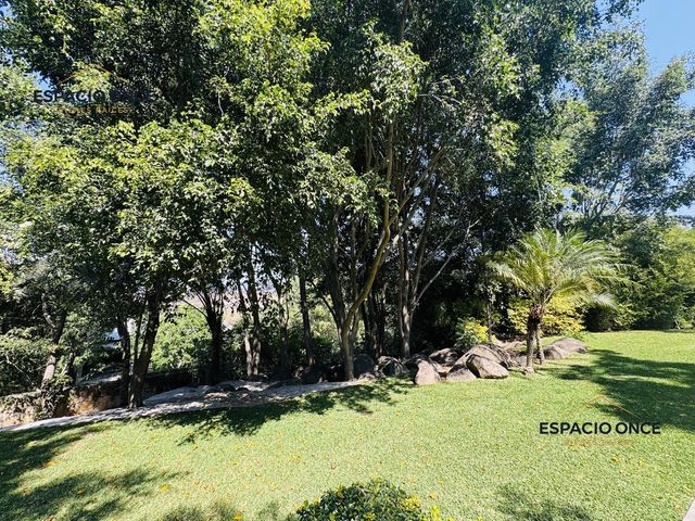place photo 52