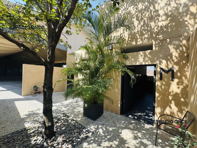 place photo 61