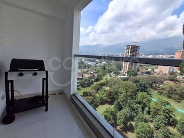 place photo 23