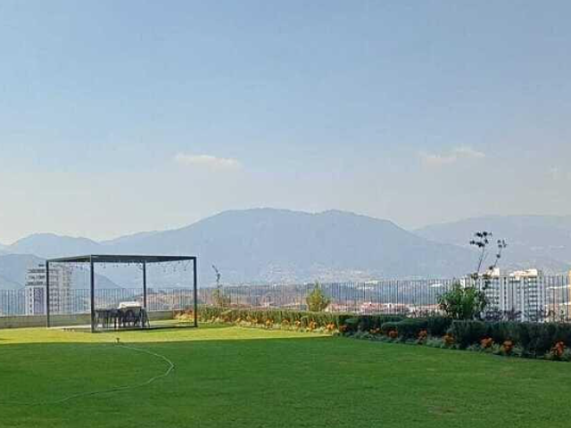 place photo 18