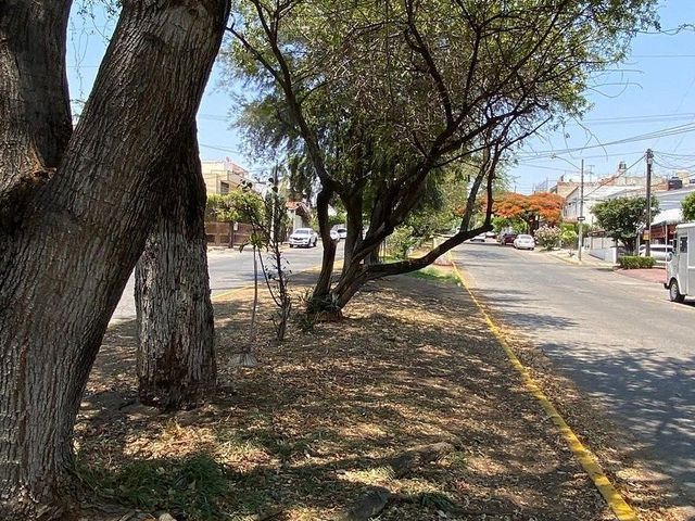place photo 24