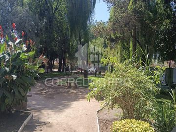 place photo 23