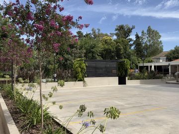 place photo 58