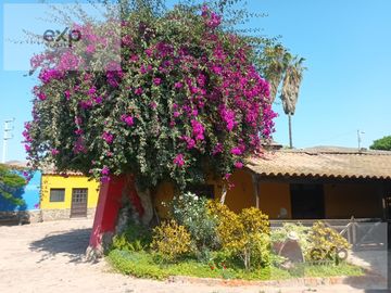 place photo 29