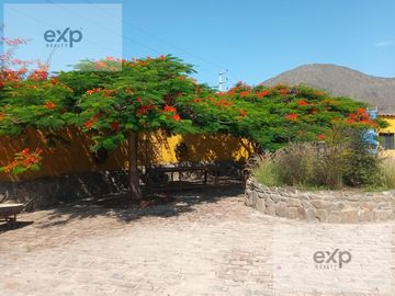 place photo 33