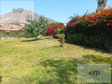 place photo 36