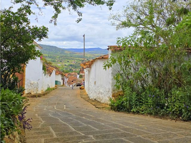 place photo 32