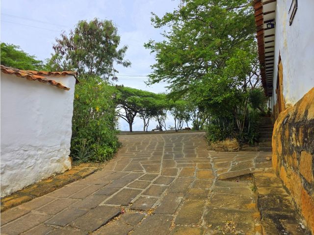 place photo 37