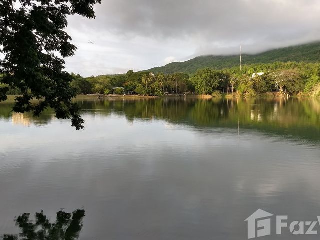 place photo 27