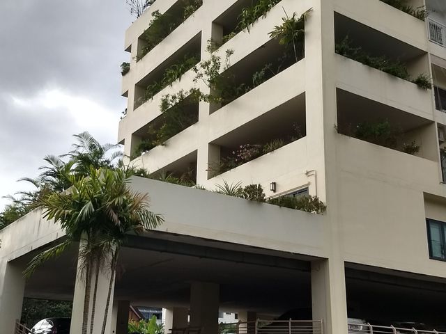 place photo 38