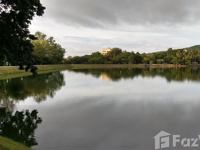 place photo 30