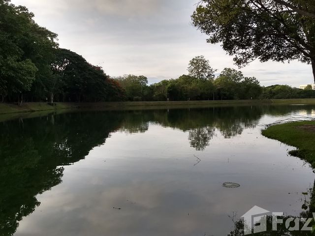 place photo 34