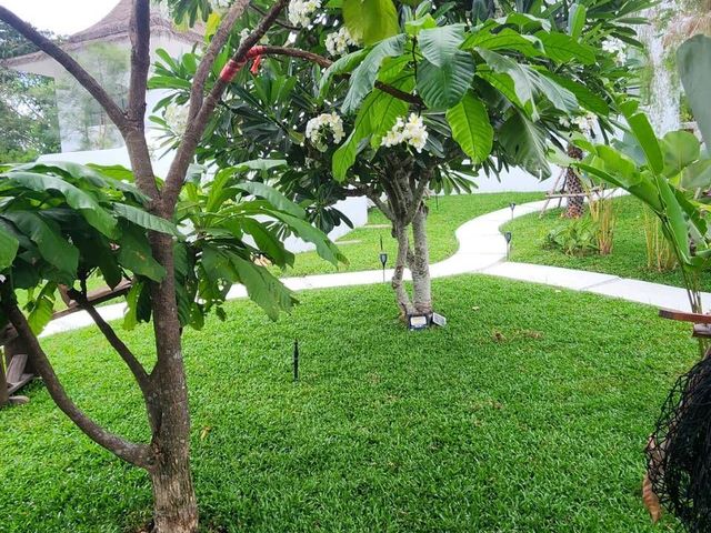 place photo 45
