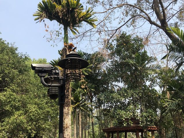 place photo 11