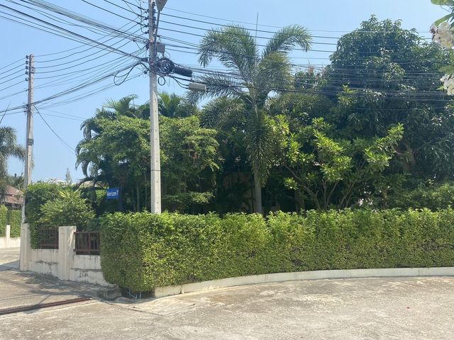 place photo 42