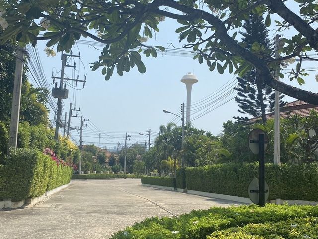 place photo 43