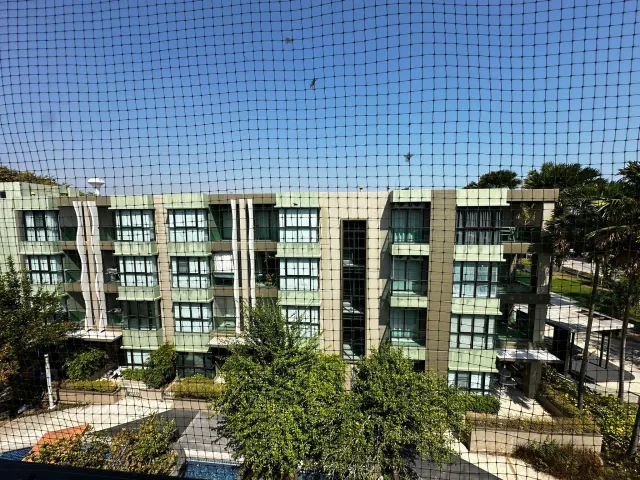 place photo 29