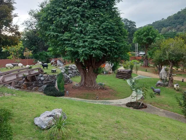 place photo 9
