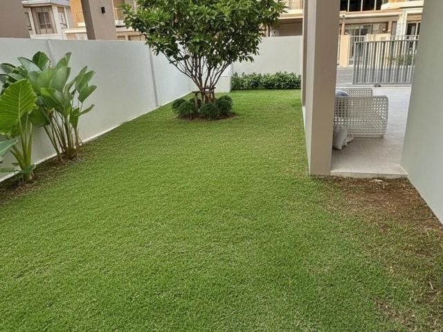 place photo 52
