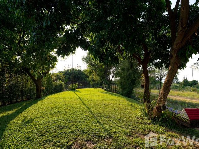 place photo 44