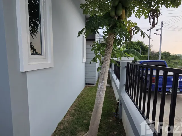 place photo 26