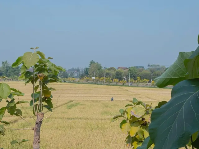 place photo 42