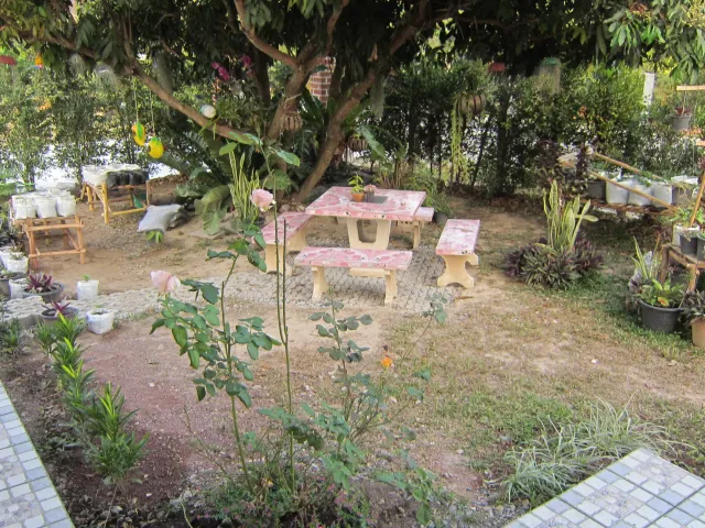place photo 15