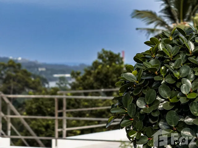place photo 37
