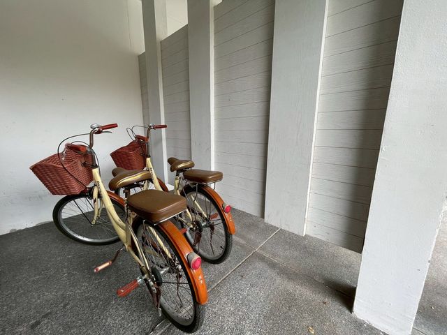 place photo 61