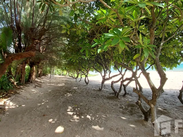 place photo 29