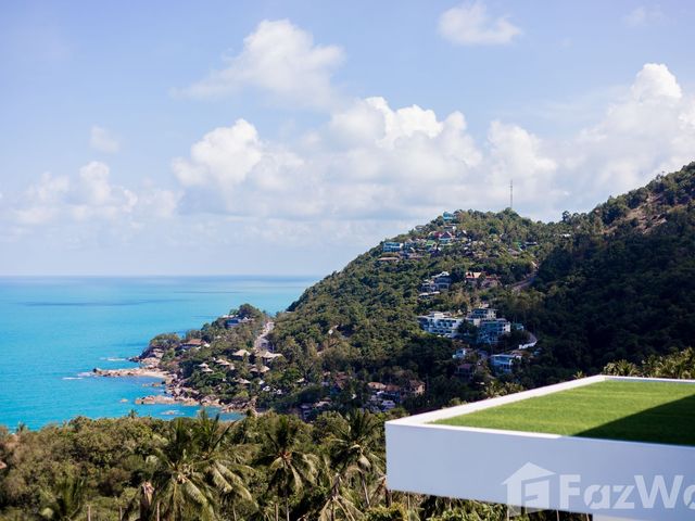 place photo 32