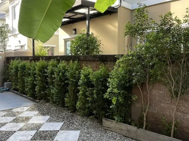 place photo 33