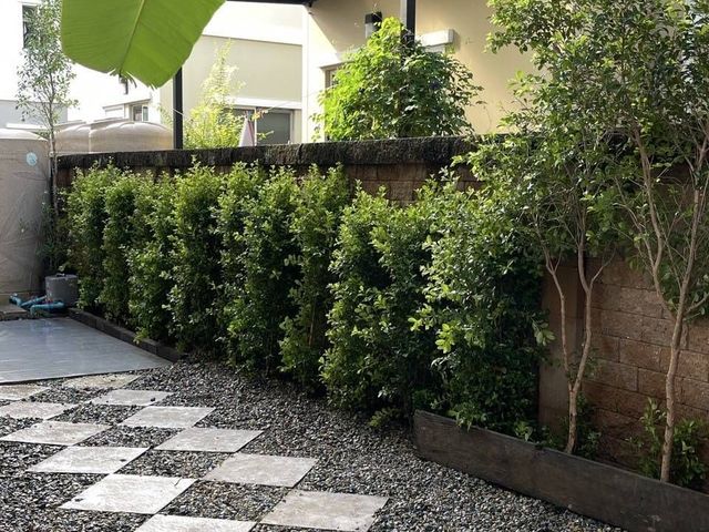 place photo 40