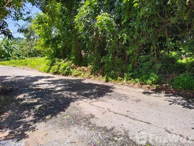 place photo 31