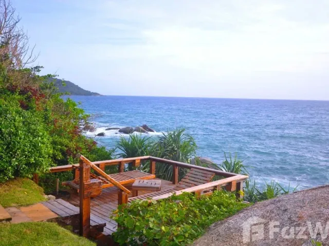 place photo 26